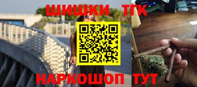 дмт Славгород