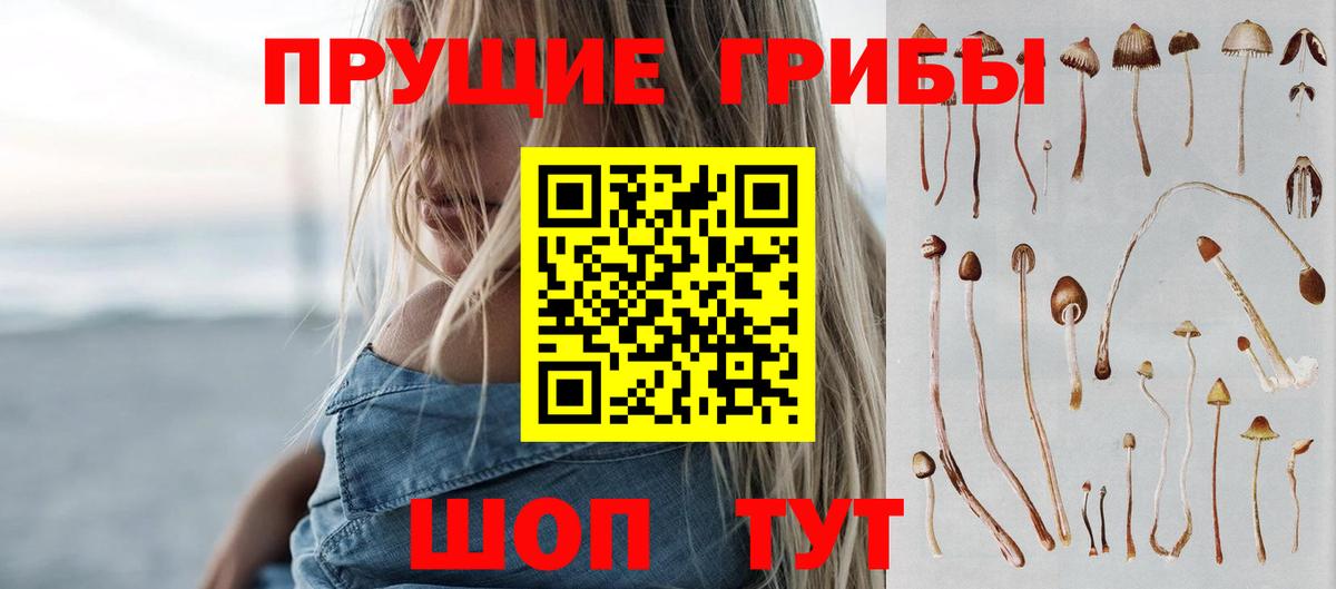 Норильск  Псилоцибиновые грибы Psilocybine cubensis  Вход с VPN 
